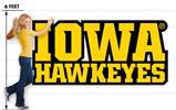 Iowa Hawkeyes 04 98x47 inch Huge Fabric Wall Skin