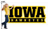 Iowa Hawkeyes 05 107x47 inch Huge Fabric Wall Skin
