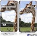 iPod Touch 2G & 3G Skin - Giraffe 01