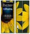 iPod Nano 5G Skin - Yellow Daisy