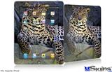iPad Skin - Leopard Cropped