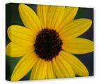 Gallery Wrapped 11x14x1.5  Canvas Art - Yellow Daisy