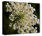Gallery Wrapped 11x14x1.5  Canvas Art - Blossoms