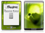 Swirls - Decal Style Skin (fits 4th Gen Kindle with 6inch display and no keyboard)