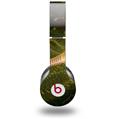 WraptorSkinz Skin Decal Wrap compatible with Beats Solo HD (Original) Out Of The Box (HEADPHONES NOT INCLUDED)
