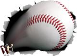 Baseball 24x18 inch Medium Fabric Wall Decor