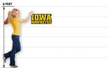 Iowa Hawkeyes 04 24x12 inch Medium Fabric Wall Skin