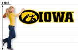 Iowa Hawkeyes 06 88x24 inch Huge Fabric Wall Skin