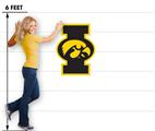 Iowa Hawkeyes 13 I Tigerhawk 31x24 inch Medium Fabric Wall Skin