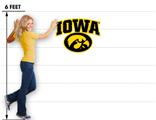 Iowa Hawkeyes 15 Iowa Tigerhawk Oval 30x23 inch Medium Fabric Wall Skin