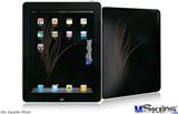 iPad Skin - Whisps