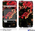 iPod Touch 4G Decal Style Vinyl Skin - Leaves Are Changing