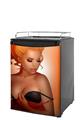 Kegerator Skin - 0range Pin Up Girl (fits medium sized dorm fridge and kegerators)