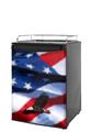 Kegerator Skin - American USA Flag (Ole Glory) Centered Eagle (fits medium sized dorm fridge and kegerators)