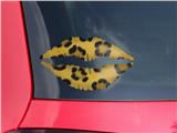 Lips Decal 9x5.5 Leopard Skin