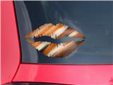 Lips Decal 9x5.5 Paint Blend Orange