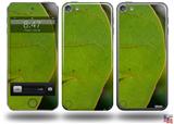To See Through Leaves Decal Style Vinyl Skin - fits Apple iPod Touch 5G (IPOD NOT INCLUDED)