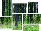 South GA Forrest - 7 Piece Fabric Peel and Stick Wall Skin Art (50x38 inches)