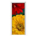Depth Door Skin (fits doors up to 34x84 inches)