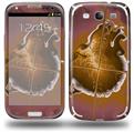 Comet Nucleus - Decal Style Skin (fits Samsung Galaxy S III S3)