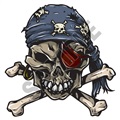 Skull Pirate 47x48 inch - Fabric Wall Skin Decal